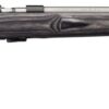 Browning T-Bolt Laminate Rifle 025236204