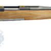 Browning X-Bolt Varmint Stalker Rifle 035334209