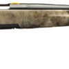 Browning X-Bolt Western Hunter Rifle 035515282